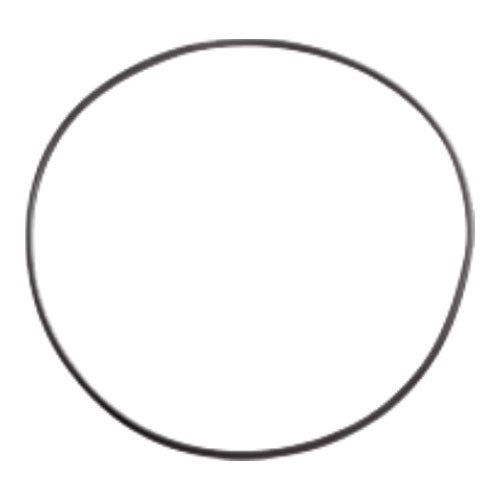 Quality Series 2 seal plate O-ring replacement for Superflo 2 and Swimflo pool pumps

