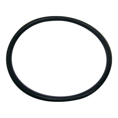 Speck-Pool-Sand-Filter-lid-O-ring-seal